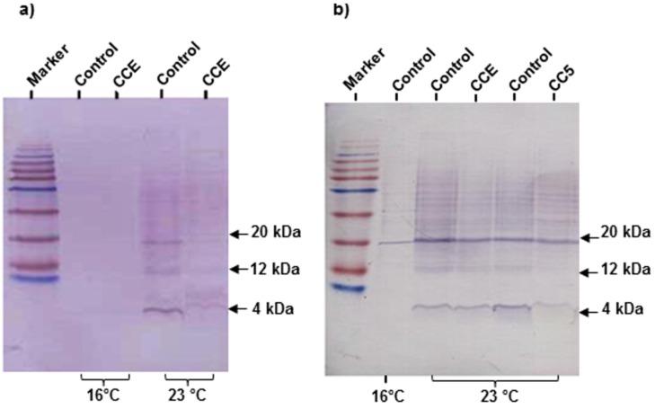 https://cdn.ncbi.nlm.nih.gov/pmc/blobs/9fd9/4626697/cdf92580ead8/marinedrugs-13-06407-g002.jpg