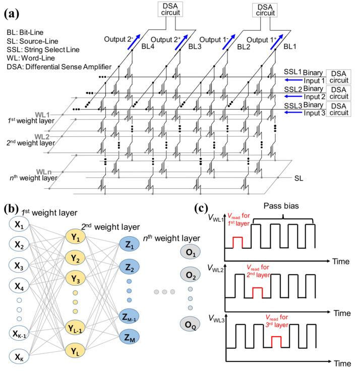 https://cdn.ncbi.nlm.nih.gov/pmc/blobs/9fda/11852767/ef6d28b791d9/biomimetics-10-00121-g012.jpg