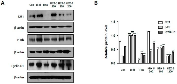 https://cdn.ncbi.nlm.nih.gov/pmc/blobs/9fe5/6539643/be494c147f8f/molecules-24-01719-g008.jpg