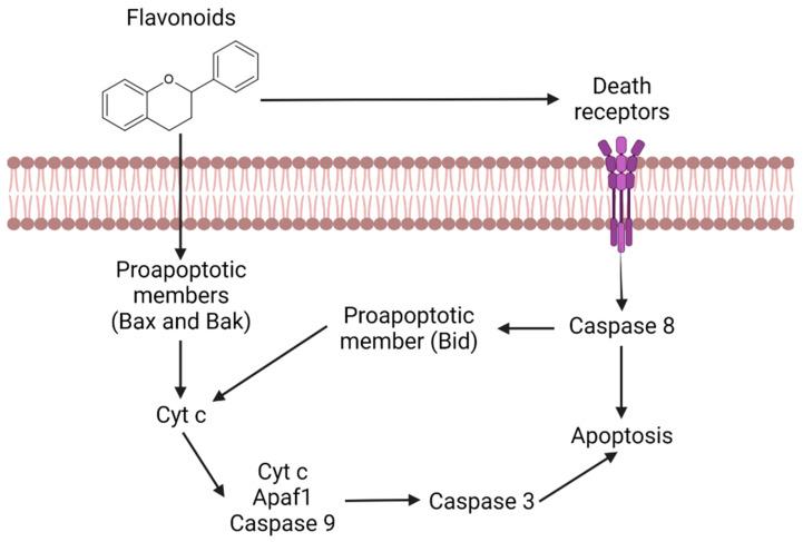 https://cdn.ncbi.nlm.nih.gov/pmc/blobs/9fe5/9137930/38f98efd6158/bioengineering-09-00197-g004.jpg