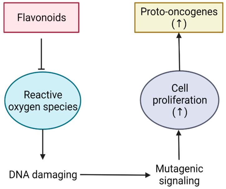 https://cdn.ncbi.nlm.nih.gov/pmc/blobs/9fe5/9137930/3a810e178adc/bioengineering-09-00197-g003.jpg