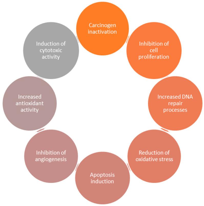 https://cdn.ncbi.nlm.nih.gov/pmc/blobs/9fe5/9137930/8c21ffc4a5a6/bioengineering-09-00197-g002.jpg