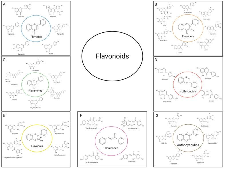 https://cdn.ncbi.nlm.nih.gov/pmc/blobs/9fe5/9137930/9b91d2591f15/bioengineering-09-00197-g005.jpg
