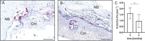 https://cdn.ncbi.nlm.nih.gov/pmc/blobs/9fe8/11468836/19bf4a9c16a7/ADHM-12-2300914-g005.jpg