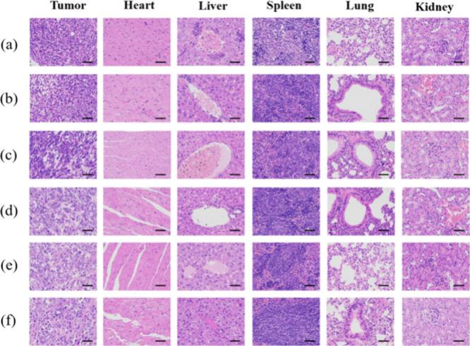 https://cdn.ncbi.nlm.nih.gov/pmc/blobs/9feb/11696392/ab8f3cdb5708/ao4c05986_0008.jpg