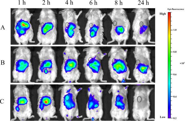 https://cdn.ncbi.nlm.nih.gov/pmc/blobs/9feb/11696392/c7b38949e182/ao4c05986_0005.jpg
