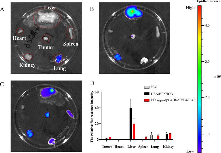 https://cdn.ncbi.nlm.nih.gov/pmc/blobs/9feb/11696392/dd8577501ec2/ao4c05986_0006.jpg