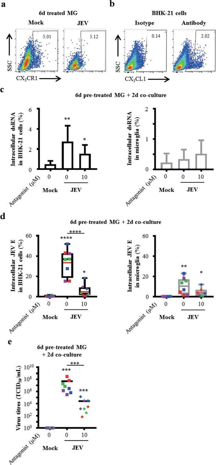 https://cdn.ncbi.nlm.nih.gov/pmc/blobs/9feb/6423114/fcd646d1187a/41598_2019_41302_Fig5_HTML.jpg