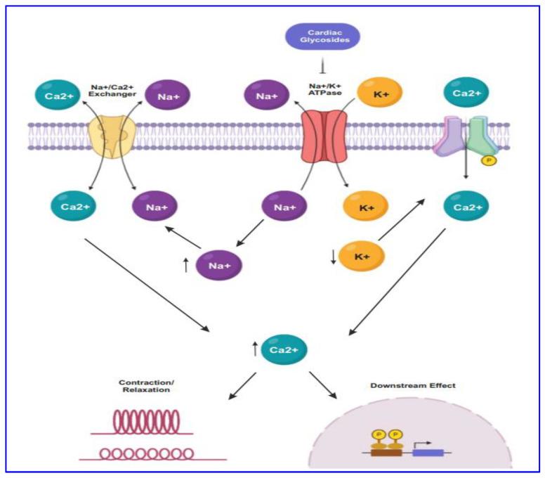 https://cdn.ncbi.nlm.nih.gov/pmc/blobs/9fee/8465509/0f49bda321bc/biomolecules-11-01275-g001.jpg