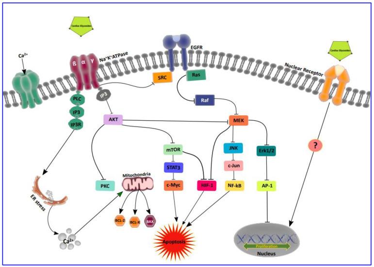 https://cdn.ncbi.nlm.nih.gov/pmc/blobs/9fee/8465509/24fe1493f83b/biomolecules-11-01275-g002.jpg