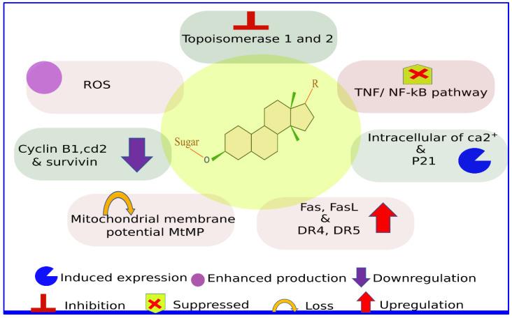https://cdn.ncbi.nlm.nih.gov/pmc/blobs/9fee/8465509/d8563b82440e/biomolecules-11-01275-g003.jpg