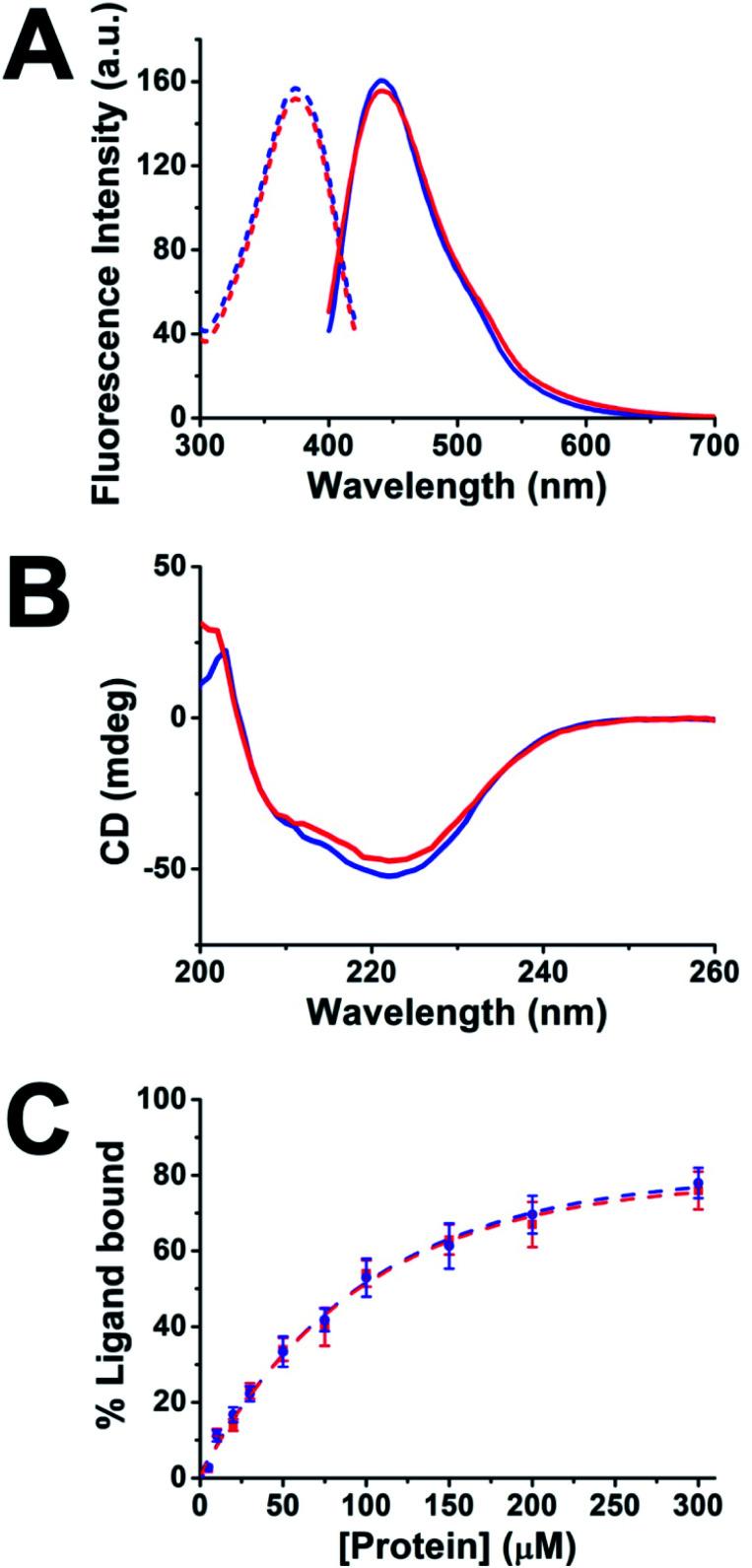 https://cdn.ncbi.nlm.nih.gov/pmc/blobs/9ff0/8179251/e151ffdc2507/d0sc05215a-f2.jpg