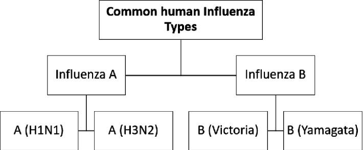 https://cdn.ncbi.nlm.nih.gov/pmc/blobs/9ff0/8214556/5d1cb4495559/13360_2021_1657_Fig5_HTML.jpg