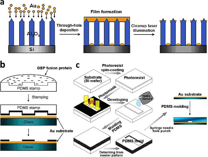 https://cdn.ncbi.nlm.nih.gov/pmc/blobs/9ff0/8214556/b5a6dfad13d4/13360_2021_1657_Fig4_HTML.jpg