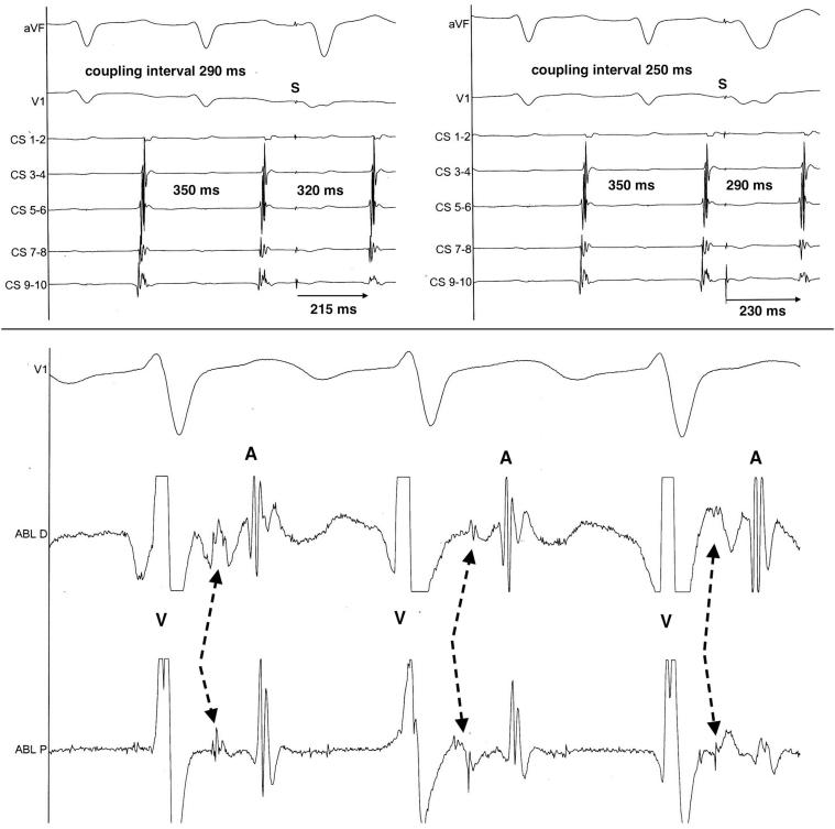 https://cdn.ncbi.nlm.nih.gov/pmc/blobs/9ff0/8858742/3c42d79b1baf/gr2.jpg