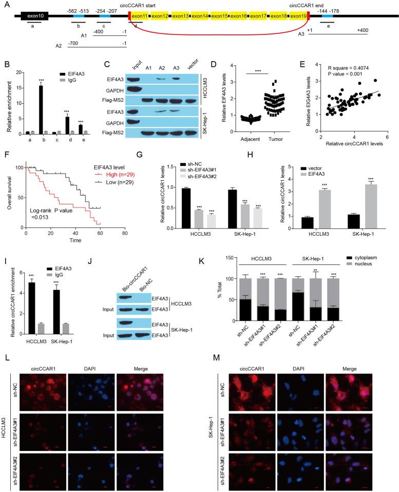 https://cdn.ncbi.nlm.nih.gov/pmc/blobs/9ff2/10024440/6ca6795dcf29/12943_2023_1759_Fig5_HTML.jpg