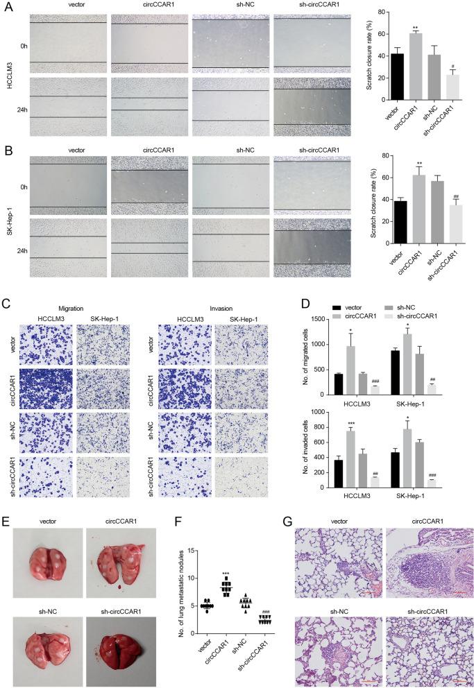 https://cdn.ncbi.nlm.nih.gov/pmc/blobs/9ff2/10024440/f1139f17b6b7/12943_2023_1759_Fig3_HTML.jpg