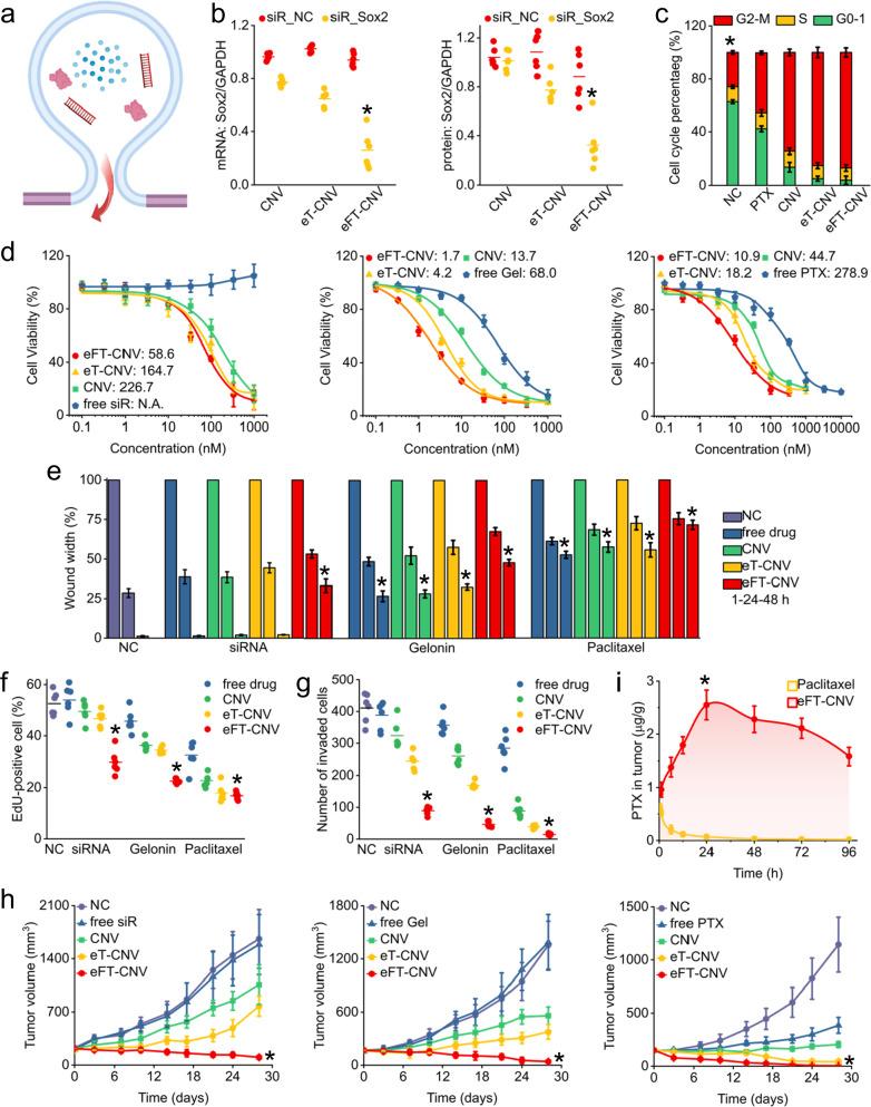 https://cdn.ncbi.nlm.nih.gov/pmc/blobs/9ff3/10250350/d1903fba1ea1/41467_2023_39181_Fig4_HTML.jpg