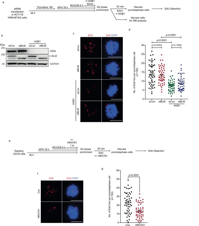 https://cdn.ncbi.nlm.nih.gov/pmc/blobs/9ff3/12379236/b7a1ac33c570/41467_2025_63292_Fig5_HTML.jpg