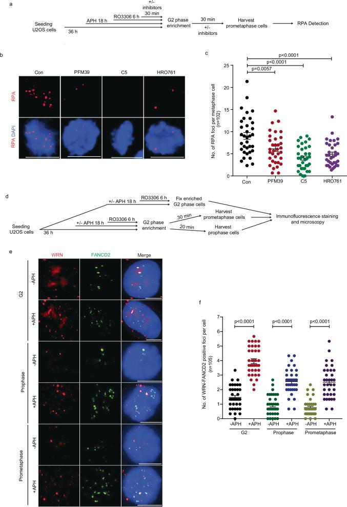 https://cdn.ncbi.nlm.nih.gov/pmc/blobs/9ff3/12379236/f9c11d7fba7d/41467_2025_63292_Fig9_HTML.jpg