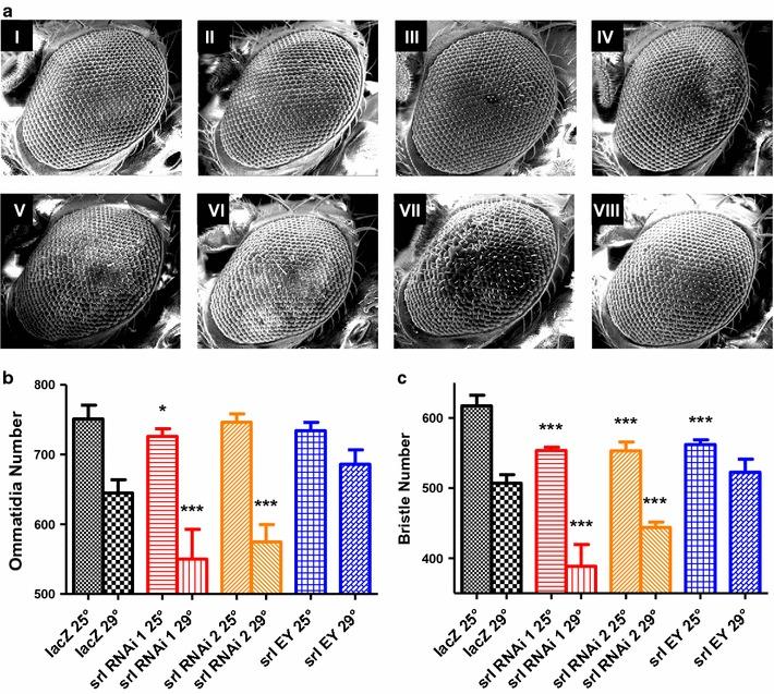 https://cdn.ncbi.nlm.nih.gov/pmc/blobs/9ff4/4623274/099df152c66a/12868_2015_210_Fig2_HTML.jpg