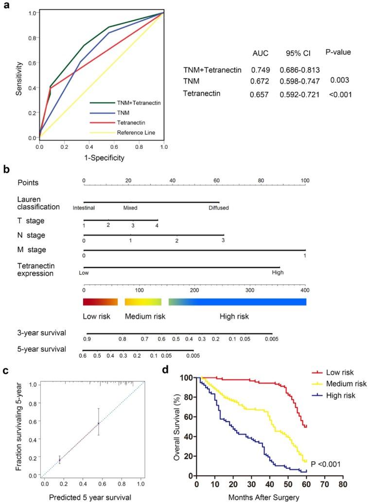 https://cdn.ncbi.nlm.nih.gov/pmc/blobs/9ff8/5687179/164937144d18/jcav08p3623g003.jpg