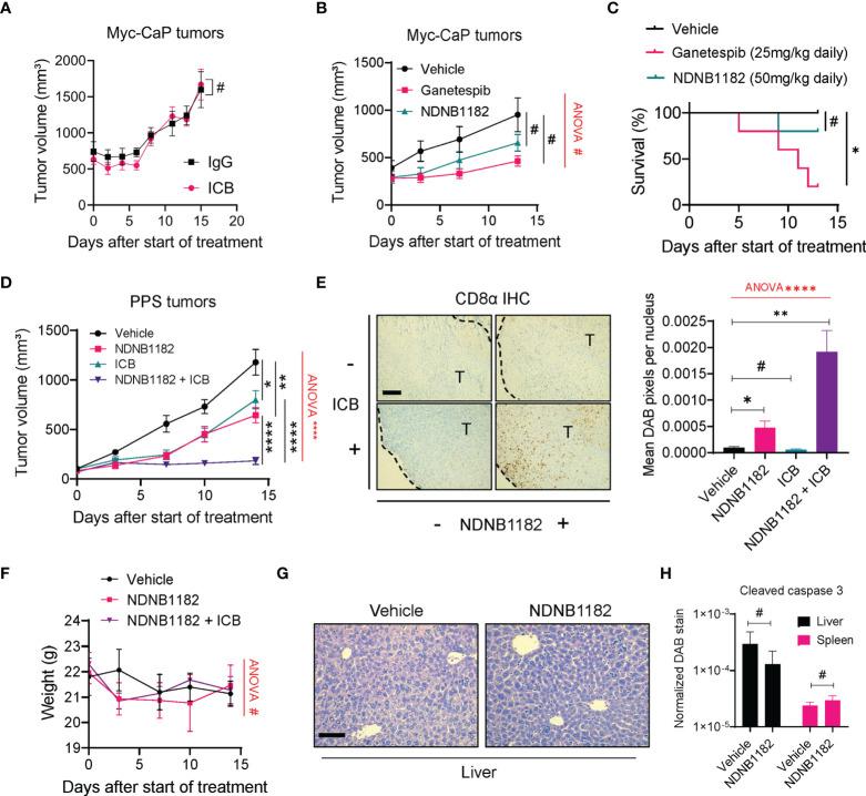 https://cdn.ncbi.nlm.nih.gov/pmc/blobs/9ff8/9630337/2f776db94247/fimmu-13-1005045-g003.jpg