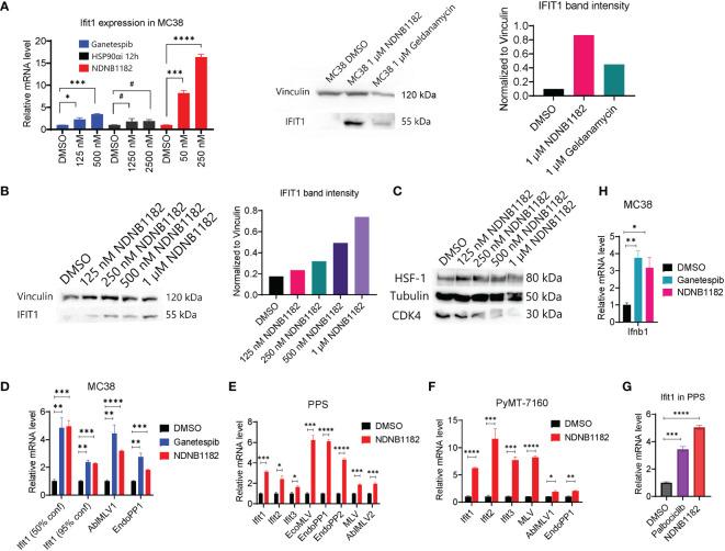 https://cdn.ncbi.nlm.nih.gov/pmc/blobs/9ff8/9630337/4745d6c7464b/fimmu-13-1005045-g002.jpg
