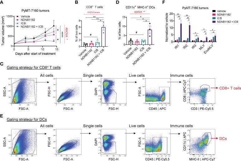 https://cdn.ncbi.nlm.nih.gov/pmc/blobs/9ff8/9630337/b9ca117b7224/fimmu-13-1005045-g004.jpg