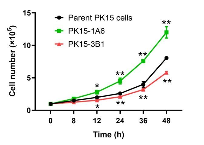 https://cdn.ncbi.nlm.nih.gov/pmc/blobs/9ff9/7105985/e265c0063344/jvetres-64-009-g002.jpg