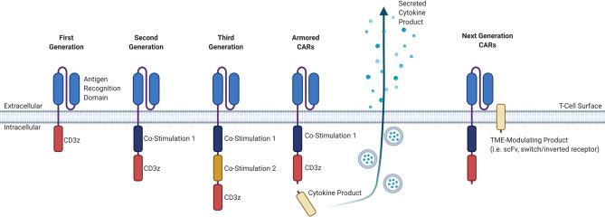 https://cdn.ncbi.nlm.nih.gov/pmc/blobs/9ff9/7902760/7e80c60dd81d/fimmu-11-618387-g001.jpg