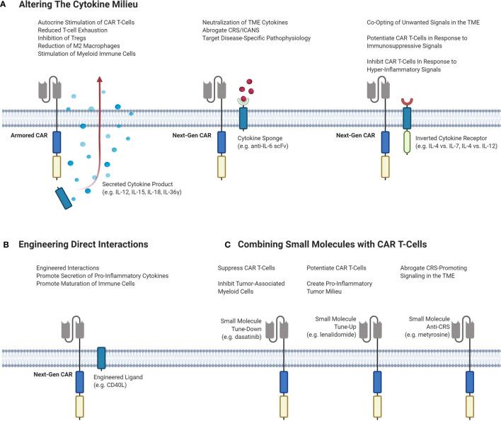 https://cdn.ncbi.nlm.nih.gov/pmc/blobs/9ff9/7902760/b12266bb09c0/fimmu-11-618387-g003.jpg