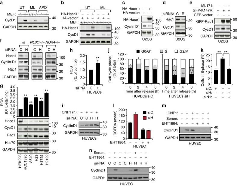 https://cdn.ncbi.nlm.nih.gov/pmc/blobs/9ffb/3759041/79d4e6bb366b/ncomms3180-f5.jpg