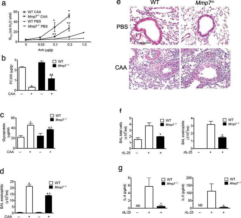 https://cdn.ncbi.nlm.nih.gov/pmc/blobs/9ffc/5298936/f43bfcc72062/nihms99288f2.jpg