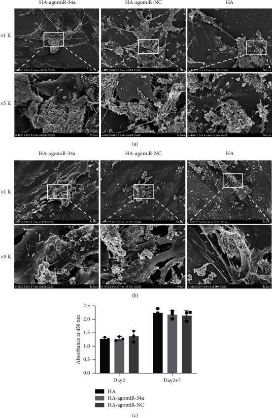 https://cdn.ncbi.nlm.nih.gov/pmc/blobs/9ffd/11918688/67101247f73d/JTERM2023-9946012.003.jpg