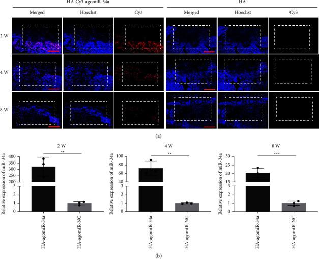 https://cdn.ncbi.nlm.nih.gov/pmc/blobs/9ffd/11918688/b294e2cbb519/JTERM2023-9946012.006.jpg