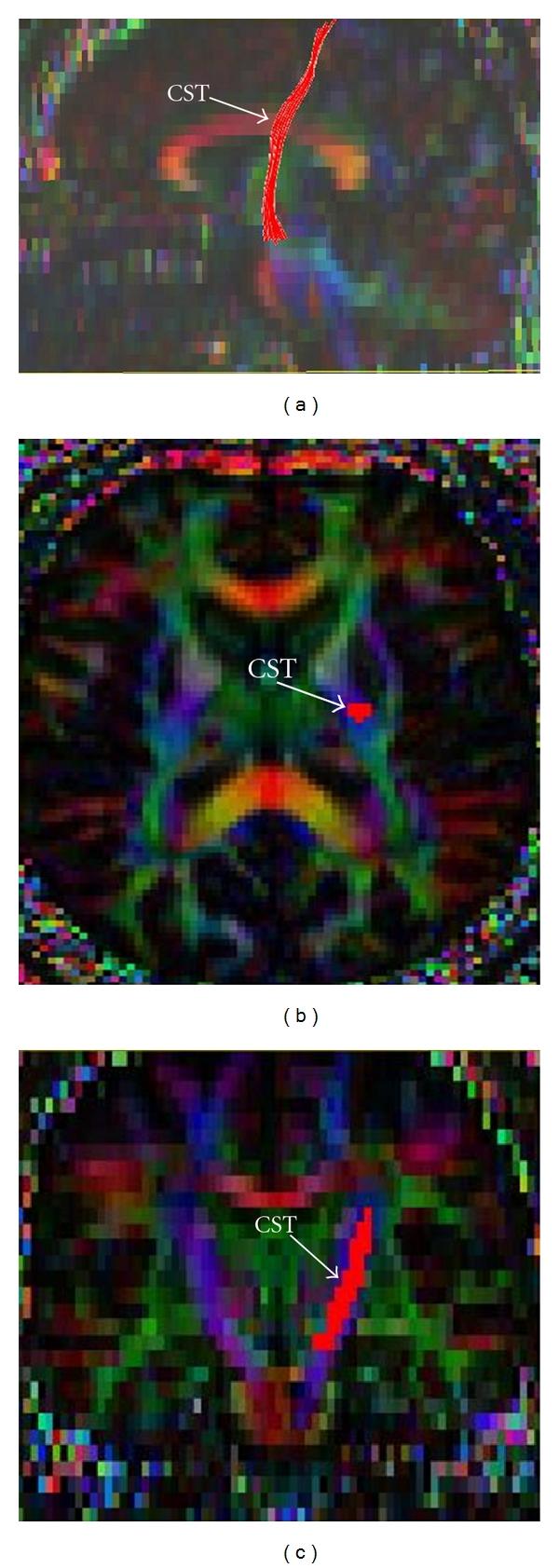 https://cdn.ncbi.nlm.nih.gov/pmc/blobs/9ffe/3205652/eff3998ed8f3/JAR2011-481745.001.jpg