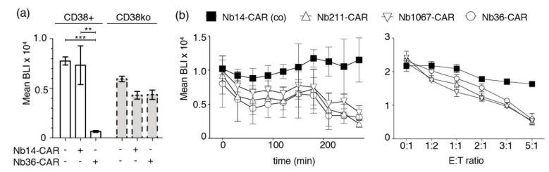 https://cdn.ncbi.nlm.nih.gov/pmc/blobs/9fff/7072387/851db076698a/cells-09-00321-g005.jpg