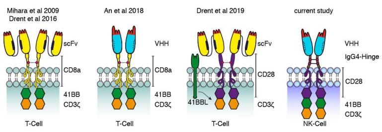 https://cdn.ncbi.nlm.nih.gov/pmc/blobs/9fff/7072387/d3e8a9b2c222/cells-09-00321-g008.jpg