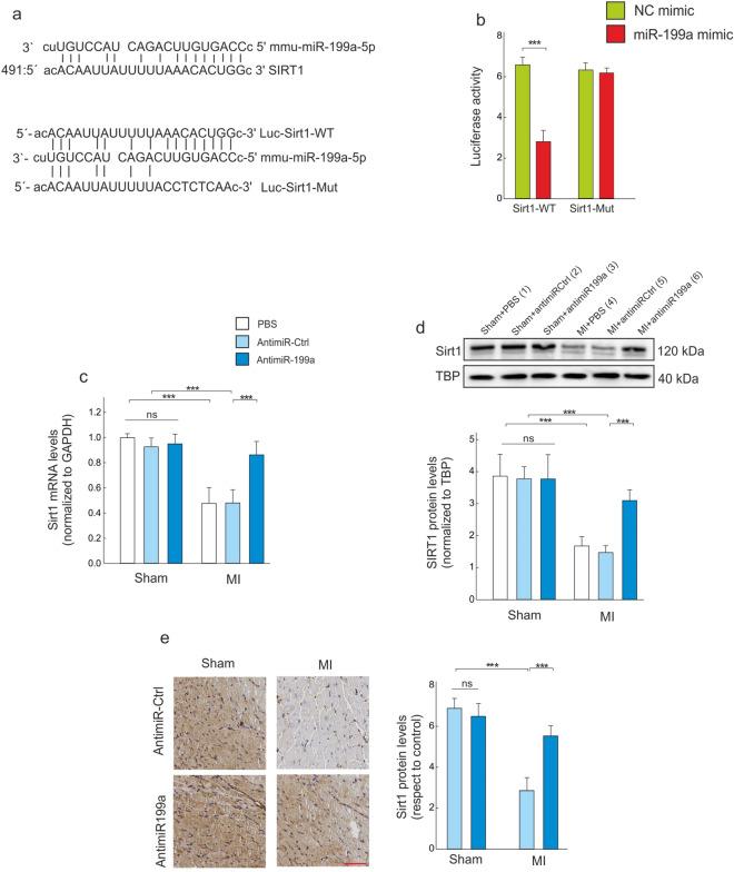 https://cdn.ncbi.nlm.nih.gov/pmc/blobs/a000/7887255/30b6e9147b66/41598_2021_82745_Fig3_HTML.jpg