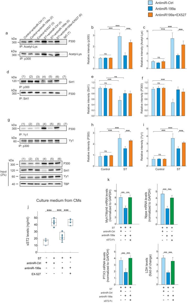 https://cdn.ncbi.nlm.nih.gov/pmc/blobs/a000/7887255/e96c07960957/41598_2021_82745_Fig7_HTML.jpg