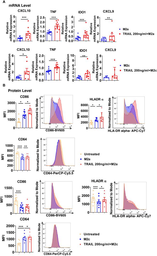 https://cdn.ncbi.nlm.nih.gov/pmc/blobs/a003/10551148/37f225399c46/fimmu-14-1209249-g009.jpg