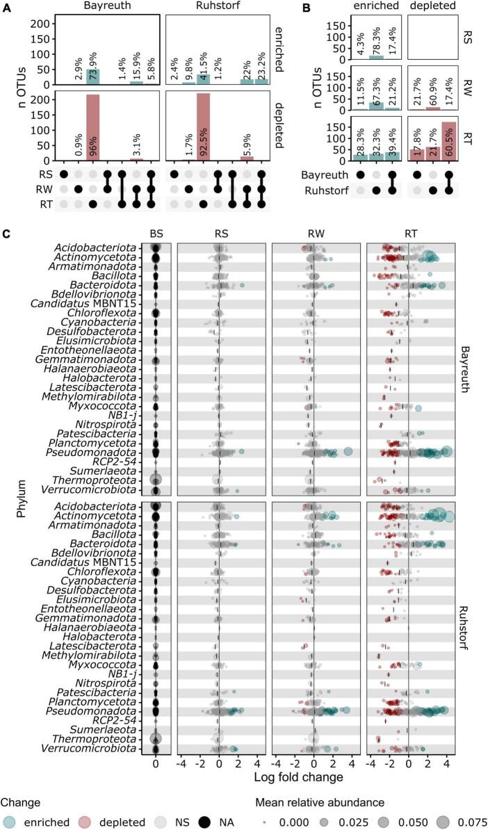 https://cdn.ncbi.nlm.nih.gov/pmc/blobs/a003/11292614/ed9880dfeee4/fmicb-15-1386476-g005.jpg