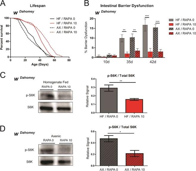 https://cdn.ncbi.nlm.nih.gov/pmc/blobs/a004/6534571/0ce22d11f92a/41598_2019_44106_Fig4_HTML.jpg