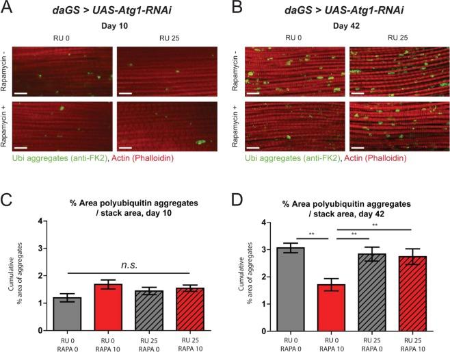 https://cdn.ncbi.nlm.nih.gov/pmc/blobs/a004/6534571/7d542209e65e/41598_2019_44106_Fig3_HTML.jpg
