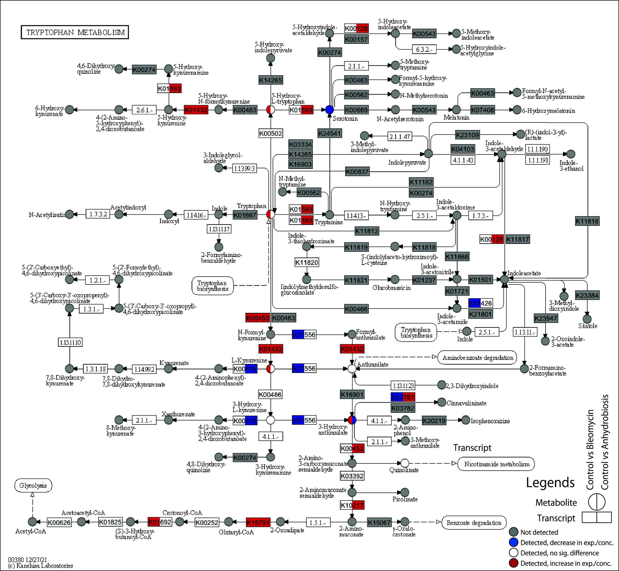 https://cdn.ncbi.nlm.nih.gov/pmc/blobs/a005/11413396/d65014babf9d/pjab-100-414-g005.jpg