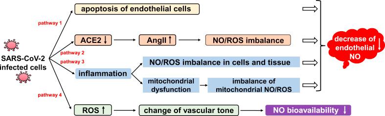 https://cdn.ncbi.nlm.nih.gov/pmc/blobs/a007/7754882/0224591a83a3/gr1_lrg.jpg