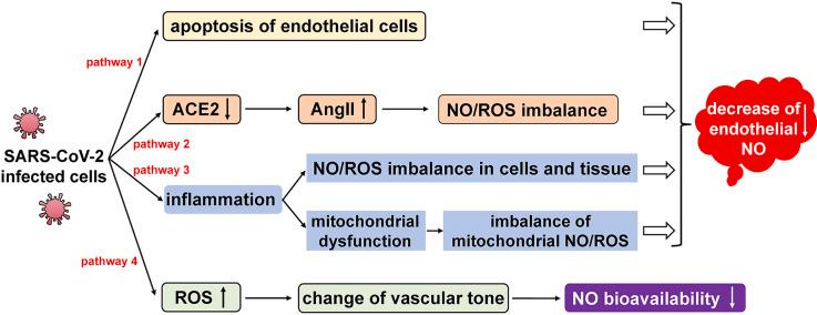 https://cdn.ncbi.nlm.nih.gov/pmc/blobs/a007/7754882/2afbf8a9aa5a/fx1_lrg.jpg