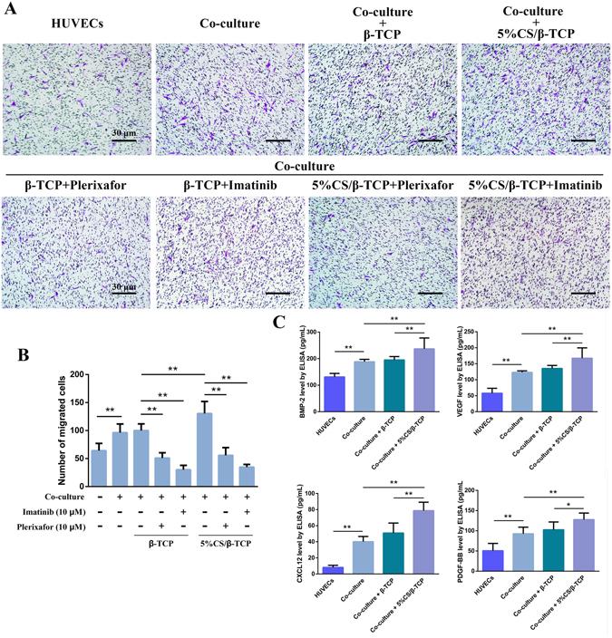 https://cdn.ncbi.nlm.nih.gov/pmc/blobs/a008/5514115/1a97e47c3497/41598_2017_5196_Fig6_HTML.jpg