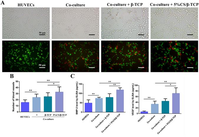https://cdn.ncbi.nlm.nih.gov/pmc/blobs/a008/5514115/92c1b439ad1a/41598_2017_5196_Fig4_HTML.jpg